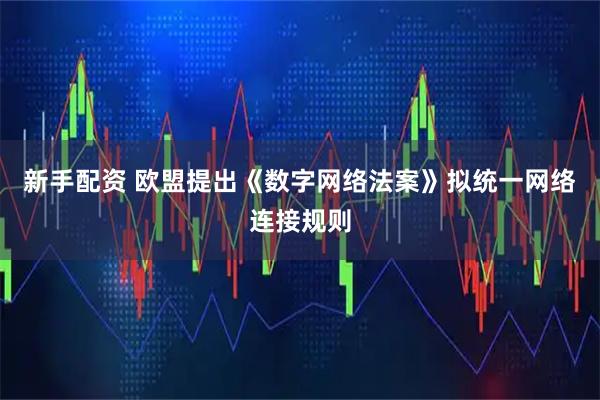 新手配资 欧盟提出《数字网络法案》拟统一网络连接规则