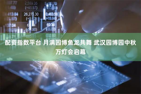 配资指数平台 月满园博鱼龙共舞 武汉园博园中秋万灯会启幕